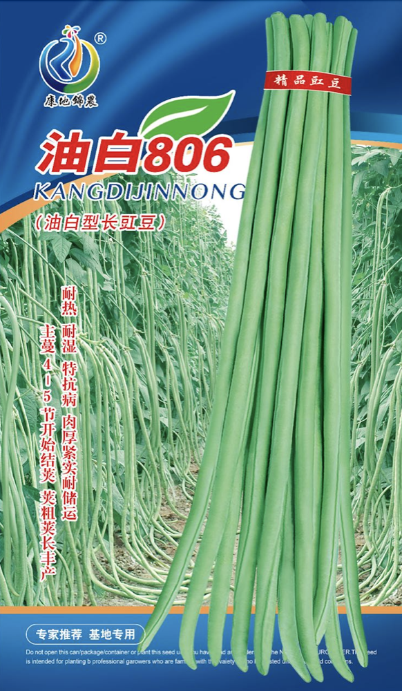 油白806
